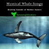 Mystical Whale Songs. Healing Sounds of Mother Nature. Great for Relaxation, Meditation, Sound Therapy and Sleep. cover artwork